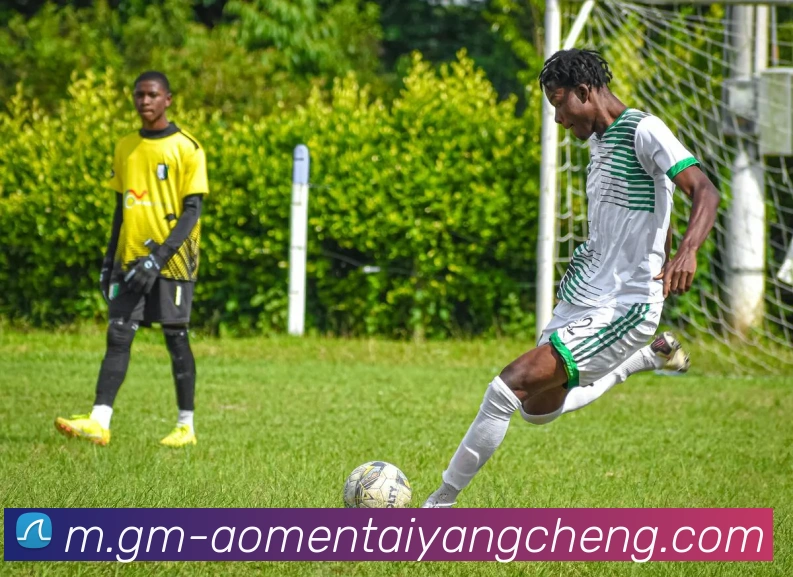 澳门太阳城发展历程